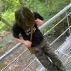 greenfool