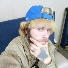 GOMOBIGDOG5150666