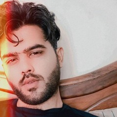 Syed Haseeb Safdar