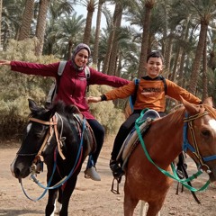 ياسين