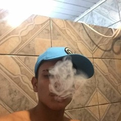 tiwlipemcOriginal