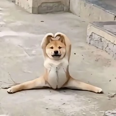 Nguyễn Thi Ngọc Thắm