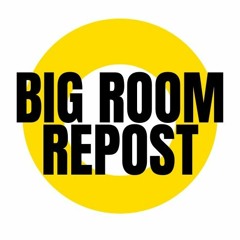 BIG ROOM REPOST