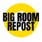 BIG ROOM REPOST