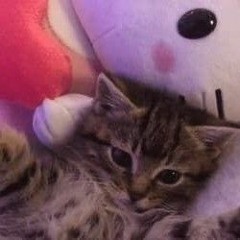 3:16 x rep rep rep x age aint nothing but a number