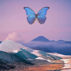 __floradelsol