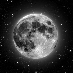 Lunar Flow