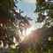 lovely morning piano