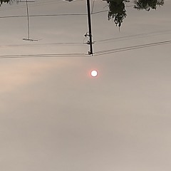 🫠🤬🫡😶‍🌫️🤮