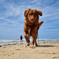 Jeanot Bremer (J2e1b)