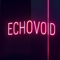 Echovoid