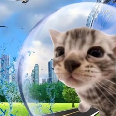 world