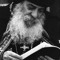 shenouda Ghabour