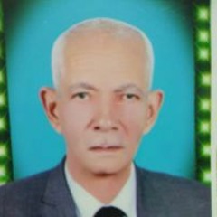 Ali Abugweel