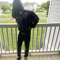 trapstar_.zel