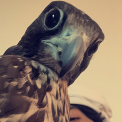 # - بني كعب  ?