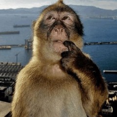 Benjamus_