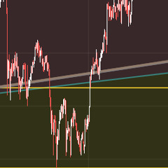 Сергей Шокот