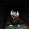 Yung Krip