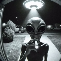 Tropikalien