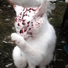 𝐄𝐰 𝐖𝐭𝐟