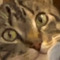 Isak