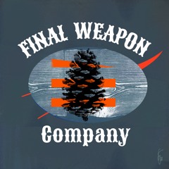 Final Weapon Company