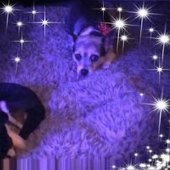 Sharron Marie Savage