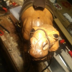 Loneliness Enthusiast