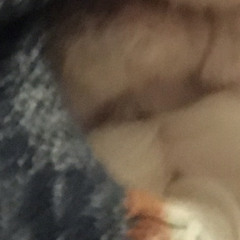ppppp