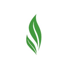 TEASHOP | تی شاپ
