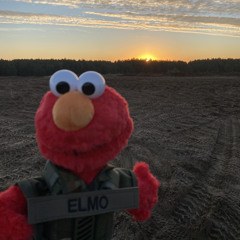 Elmo