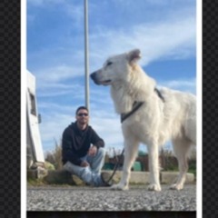 Ymmot_Atpk