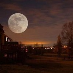 محمد إبراهيم ميزو