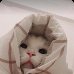 eidjnxkskzmzmzkd9292