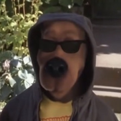 Mr. Video