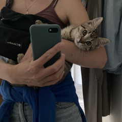annskibgirl