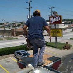 Falcon IhateMylife
