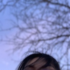 Gregory Damian Lavigne