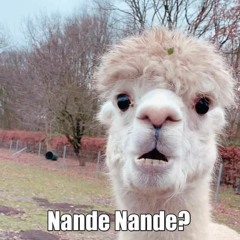Nande nande?