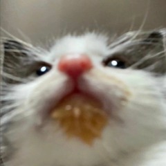 ноунэйм