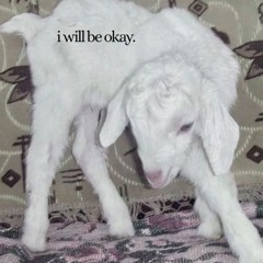sheepleap