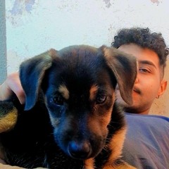 Josepnetto98