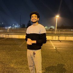 Mohamed Zidan