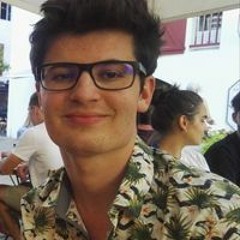 Raphaël Duzer