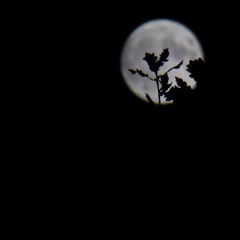 𝖣𝖨𝖵𝖨𝖣𝖨𝖭𝖦 𝖲𝖯𝖧𝖤𝖱𝖤𝖲