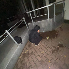 pirat_main