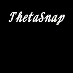 ThetaSnap | Chapter 1