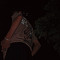 abood