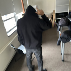 Seaner